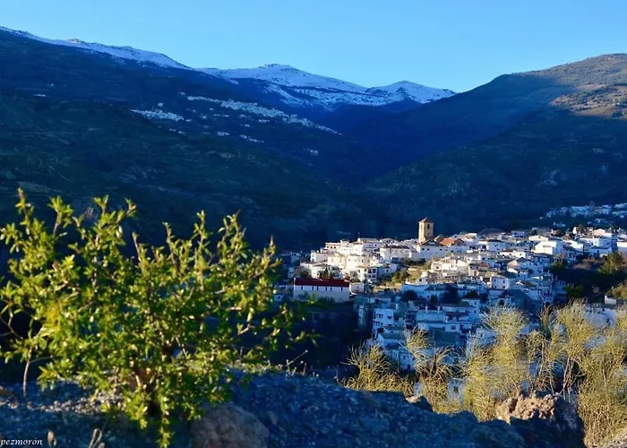 El Montoro Penzion